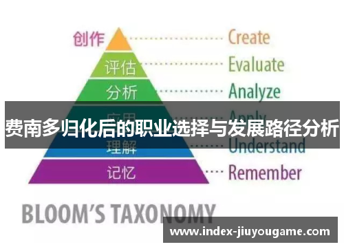 费南多归化后的职业选择与发展路径分析