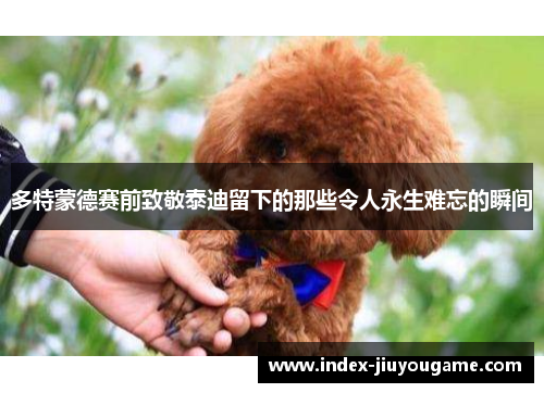 多特蒙德赛前致敬泰迪留下的那些令人永生难忘的瞬间