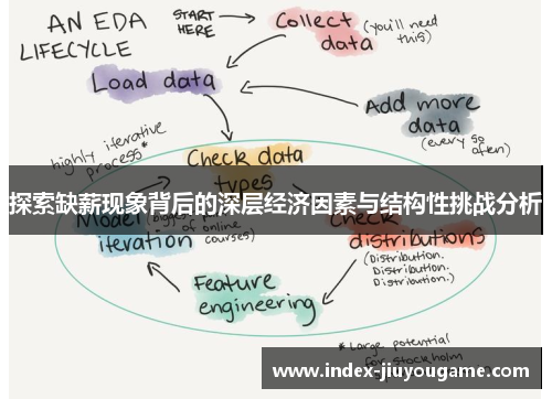 探索缺薪现象背后的深层经济因素与结构性挑战分析