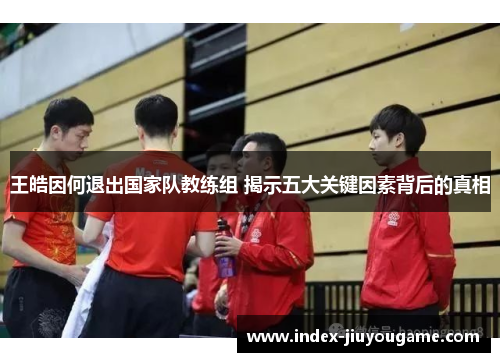 王皓因何退出国家队教练组 揭示五大关键因素背后的真相