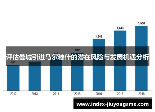 评估曼城引进马尔穆什的潜在风险与发展机遇分析